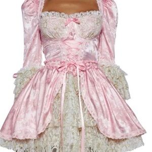Marie Antoinette Halloween pink dress sexy fun coquette size xxl and pink wig